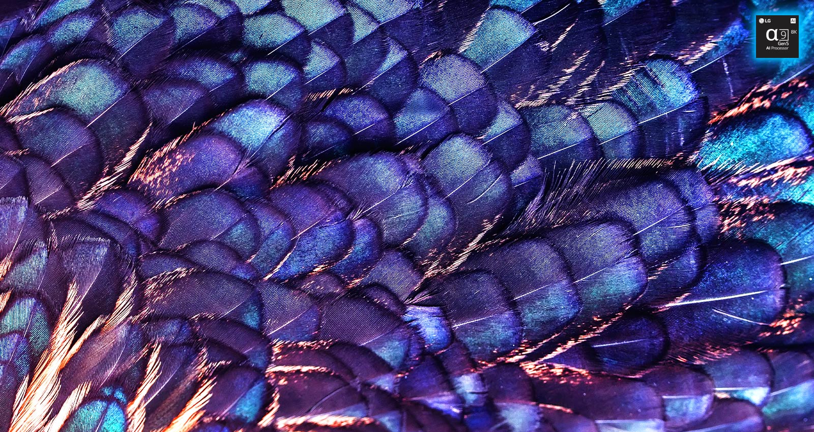 There is an image of textures of bright iridescent feathers of a fairy bird of lilac color. The image is split into two – the top part is a more vivid one and says AI 8K upscaling with Processor chip image and the bottom one is more pale.