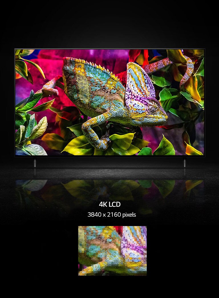 QNED TV monitor shows a very colorful lizard sitting on a colorful leaves. Below QNED TV, there are two small images of a close-up of part of lizard showing details of skin. On the left is 4K LCD version and on the right is 8K mini LED version. 8K mini LED image is a more vivid and clearer.