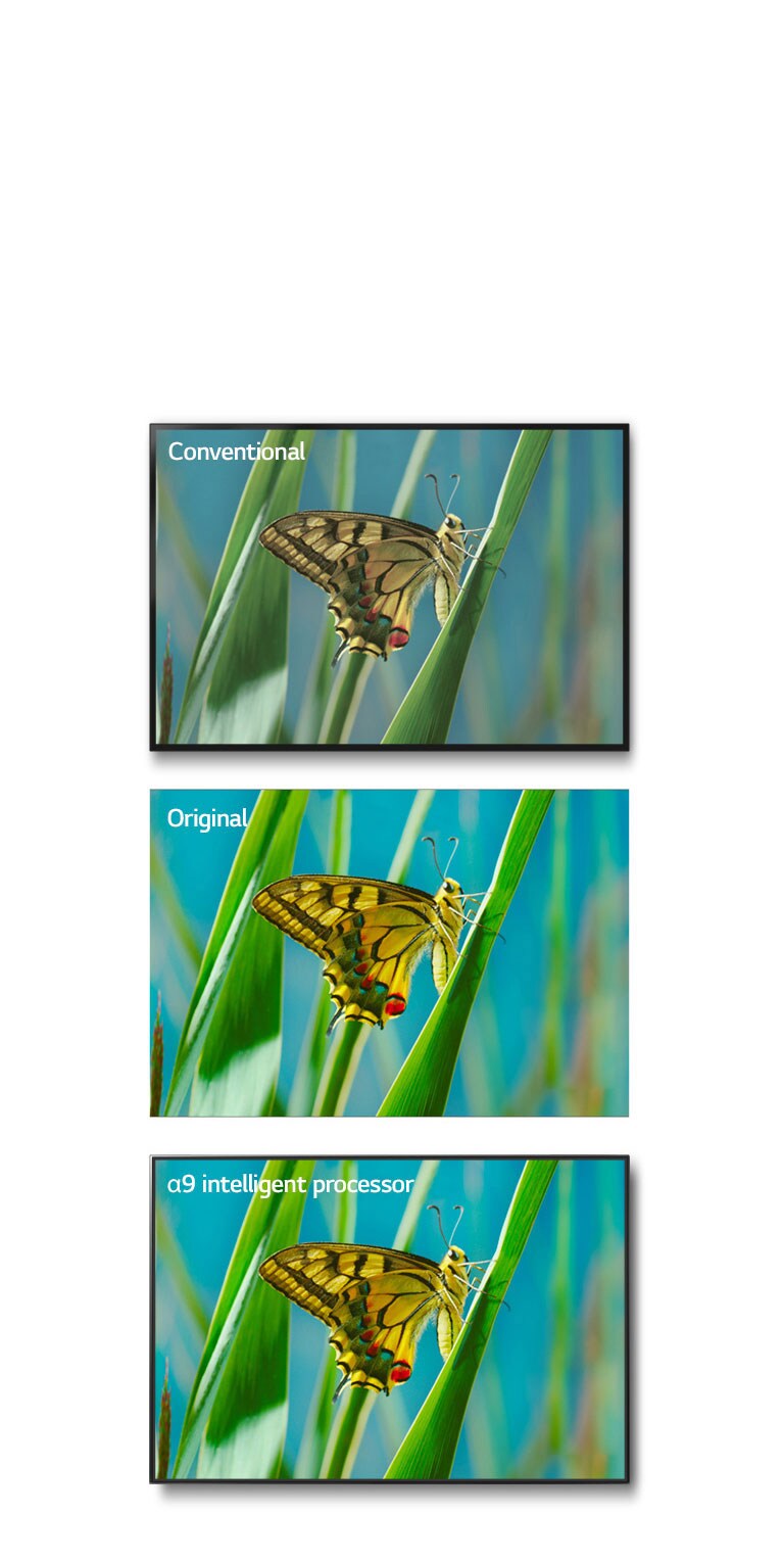 True Color Accuracy Pro1