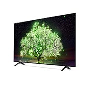 LG 164 cm (65) OLED TV (A1) with α7 Gen4 Processor 4K, Smart AI, Dolby Vision IQ, HDR 10 Pro, OLED65A1PTZ