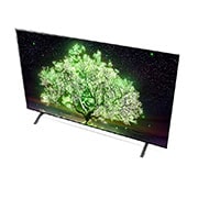 LG 164 cm (65) OLED TV (A1) with α7 Gen4 Processor 4K, Smart AI, Dolby Vision IQ, HDR 10 Pro, OLED65A1PTZ