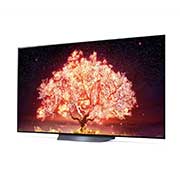 LG 164cm (65) OLED TV (B1) with α7 Gen4 Processor 4K, Smart AI, Dolby Vision IQ, HDR 10 Pro, Thin Bezel, OLED65B1PTZ