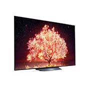 LG 164cm (65) OLED TV (B1) with α7 Gen4 Processor 4K, Smart AI, Dolby Vision IQ, HDR 10 Pro, Thin Bezel, OLED65B1PTZ