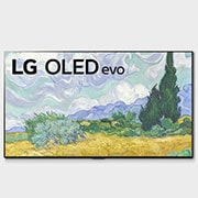 LG OLED65G1PTZ OLED front view