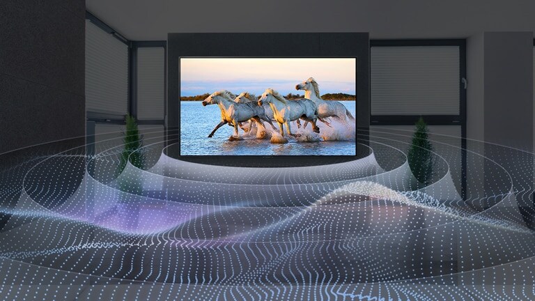 Four white horses running in the water on TV with surround sound graphic.