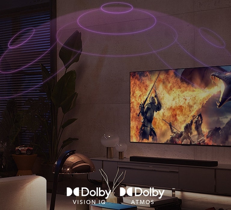 LG OLED TV Cinema Dolby Vision IQ & Dolby Atmos