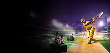 Cricket Offers