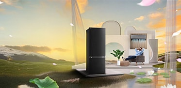 Appliances Sale