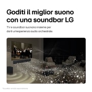 LG TV 48 pollici LG OLED evo AI C4 4K Smart TV 2024, OLED48C43LA