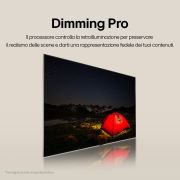 Dimming Pro tv 43QNED80T6A.API