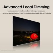 advance local dimming