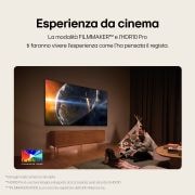 experience the cinema