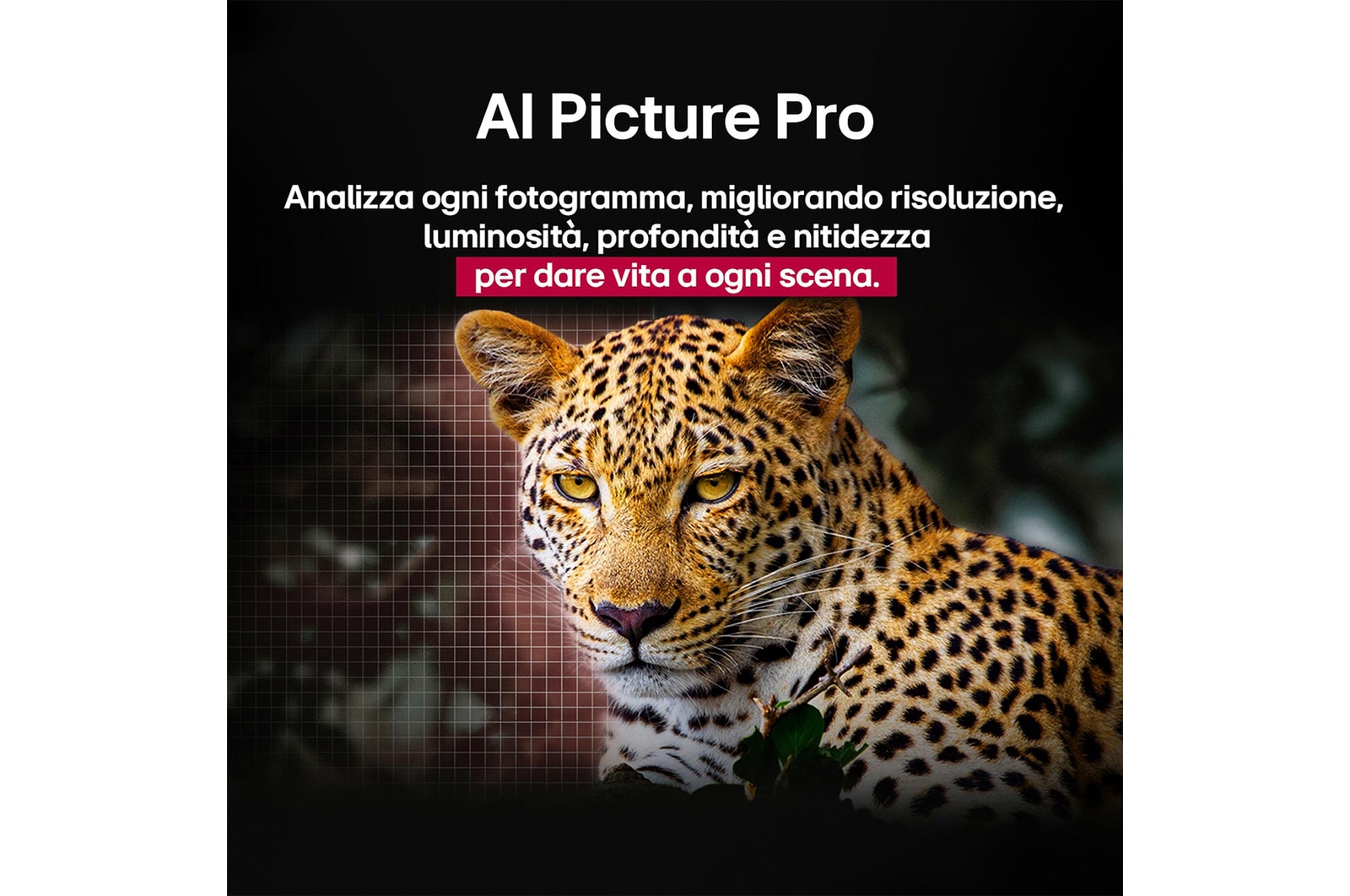 Leopardo nella foresta, dai colori vividi e ricco di dettagli. Il leopardo ha una griglia e una luce che brilla dietro di esso, indicando come LG AI Picture Pro ha apportato notevoli miglioramenti visivi alla risoluzione, alla luminosità, alla profondità e alla chiarezza della scena.