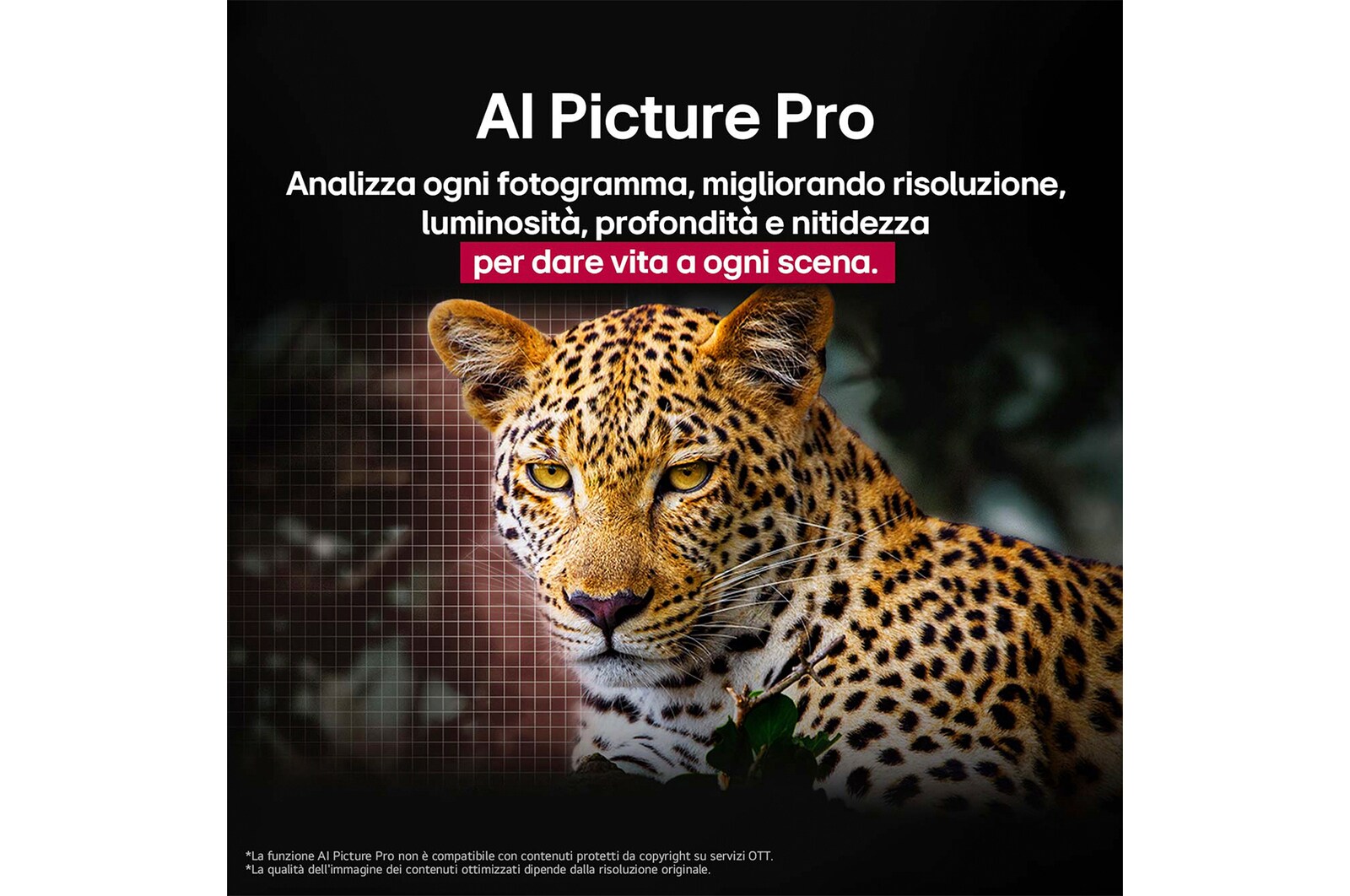 AI Picture Pro OLED83G54LW