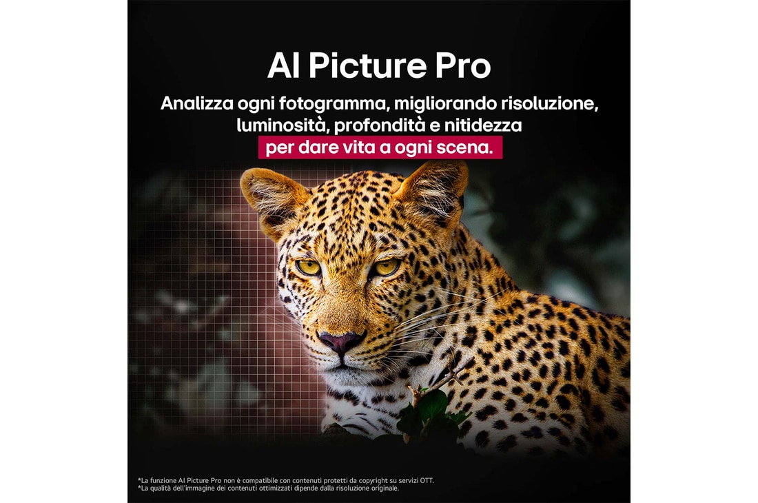 Leopardo nella foresta, dai colori vividi e ricco di dettagli. Il leopardo ha una griglia e una luce che brilla dietro di esso, indicando come LG AI Picture Pro ha apportato notevoli miglioramenti visivi alla risoluzione, alla luminosità, alla profondità e alla chiarezza della scena.