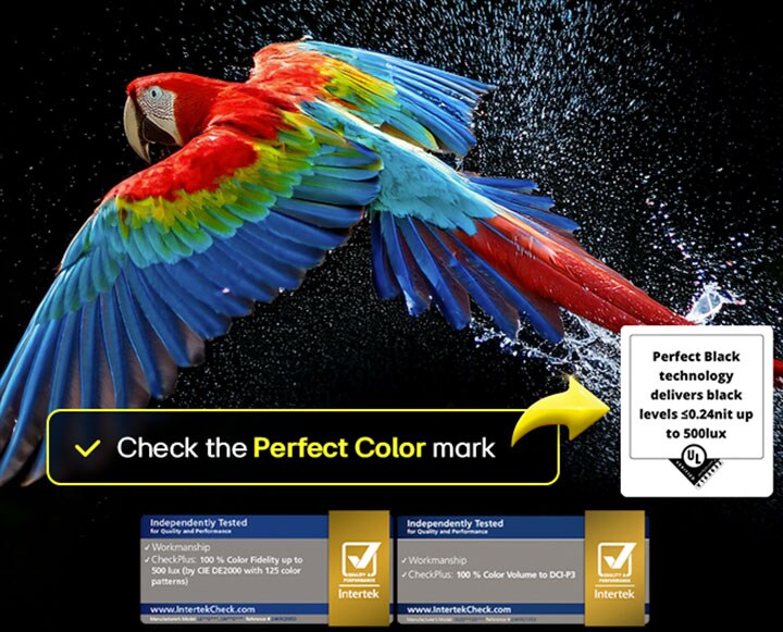 Fuochi d’artificio abbaglianti e dai colori vivaci vengono proiettati su uno schermo televisivo. Si vede il logo della certificazione che attesta la fedeltà colore superiore al 99% fino a 500 lux. Inoltre, sono presenti le altre certificazioni Intertek.