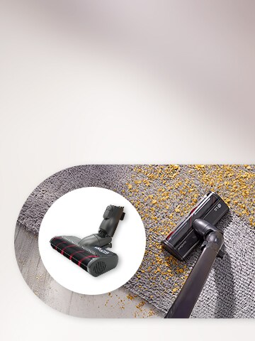 This is a picture of the LG vacuum cleaner and its accessory.