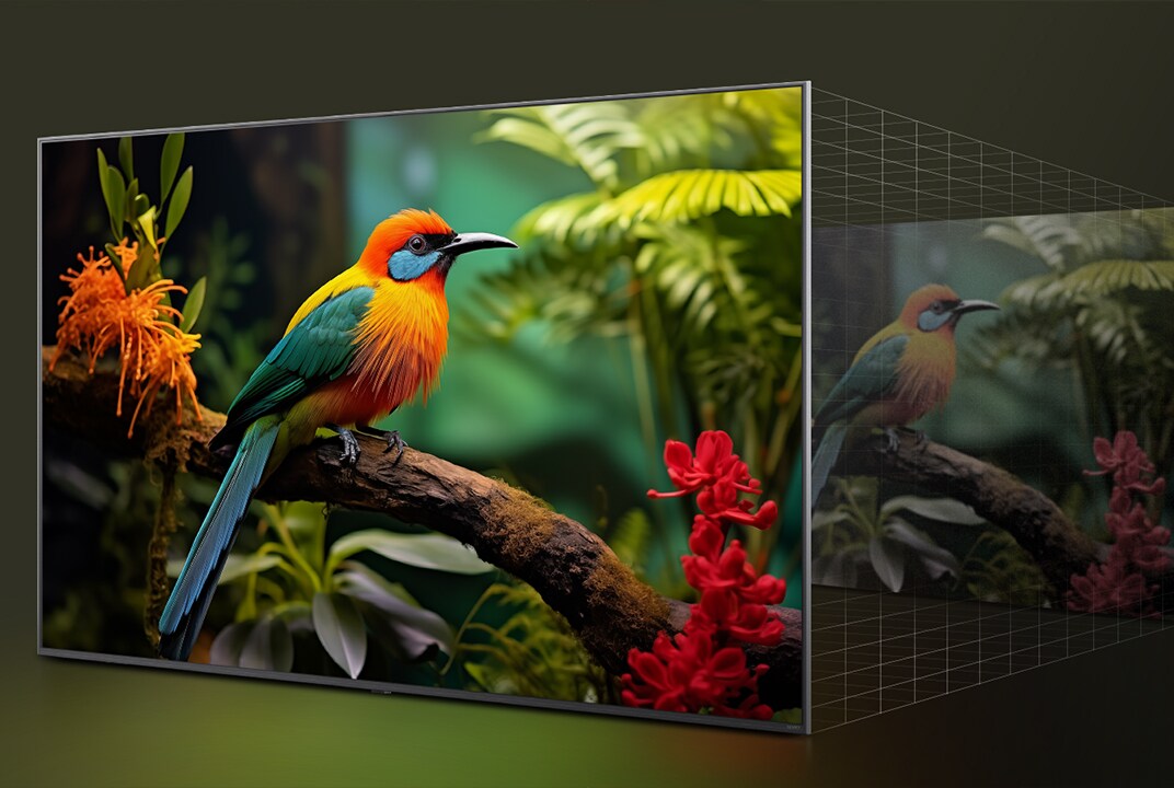Confronto “prima e dopo” che mostra come LG 4K Super Upscaling migliori la qualità dell’immagine. Due pannelli mostrano la stessa immagine di un uccello colorato posato su un ramo nella foresta; il pannello di destra appare sbiadito.