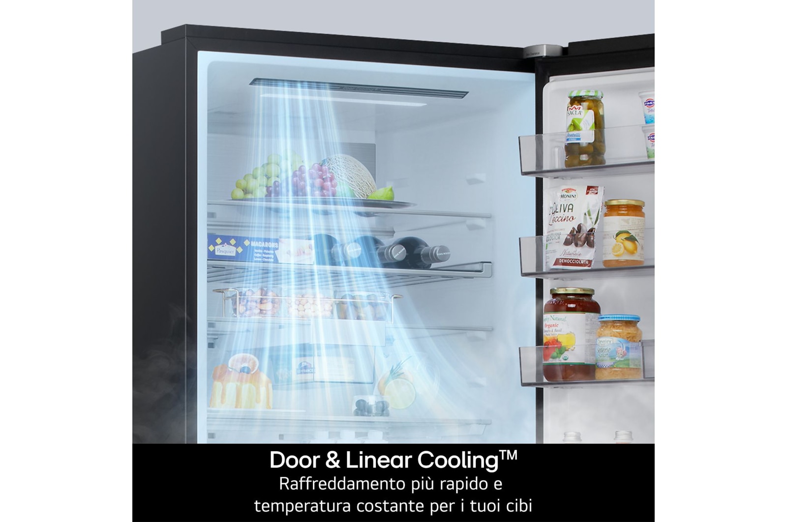 Door & Linear Cooling frigorifero GSLE91EVAB