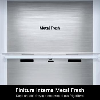 Finitura interna Metal Fresh frigorifero GSLE91EVAB