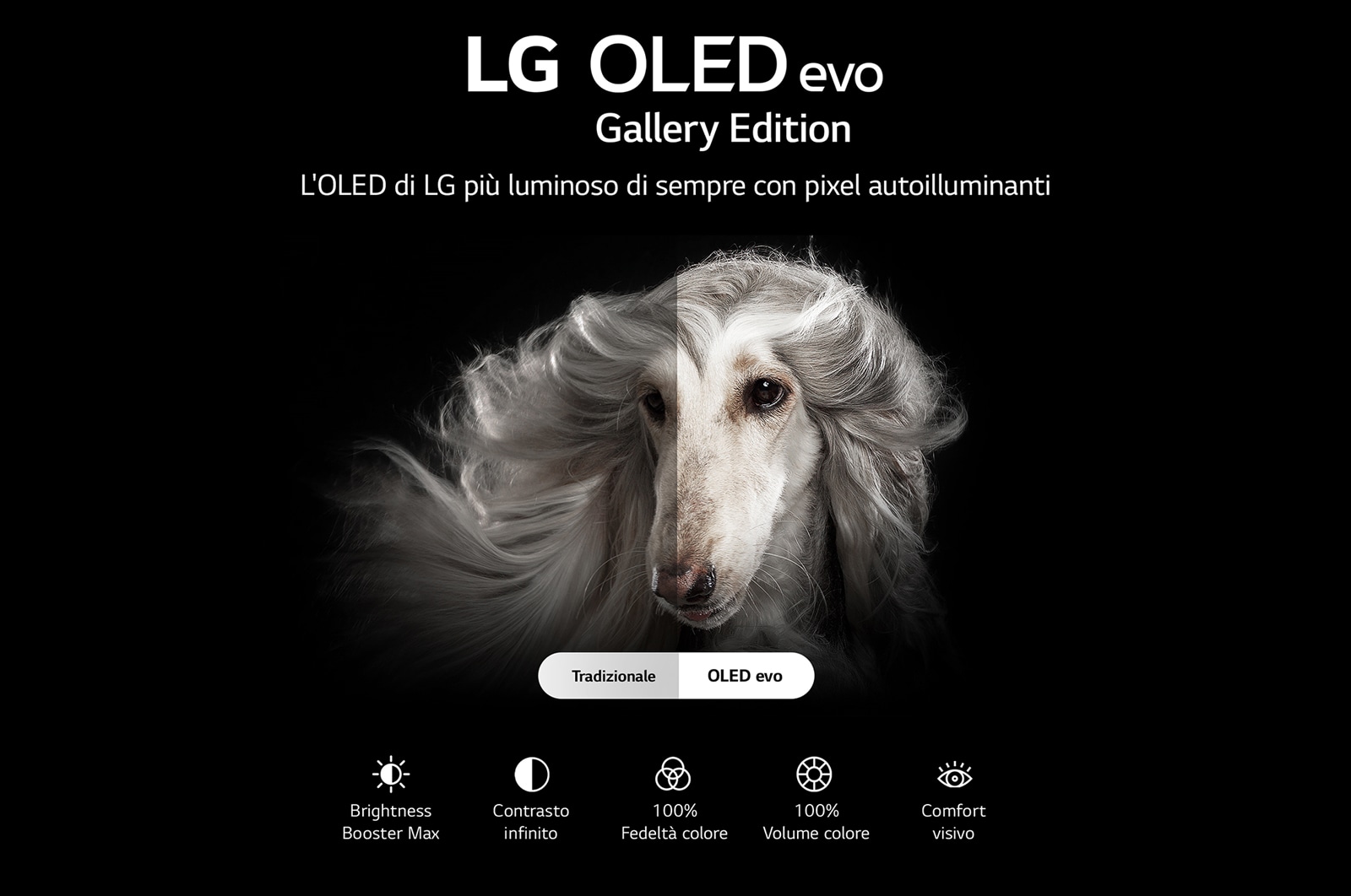 LG TV OLED Gallery Edition 4K 55 pollici, OLED55G26LA