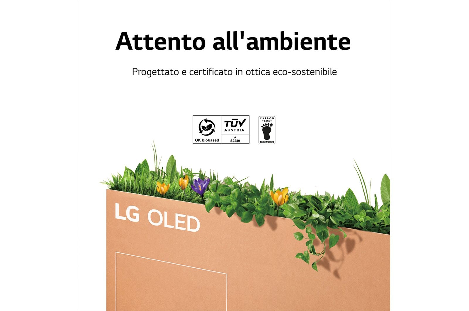 LG TV OLED Gallery Edition da 77 pollici, OLED77G26LA