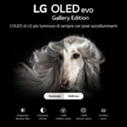 LG TV OLED Gallery Edition da 77 pollici, OLED77G26LA