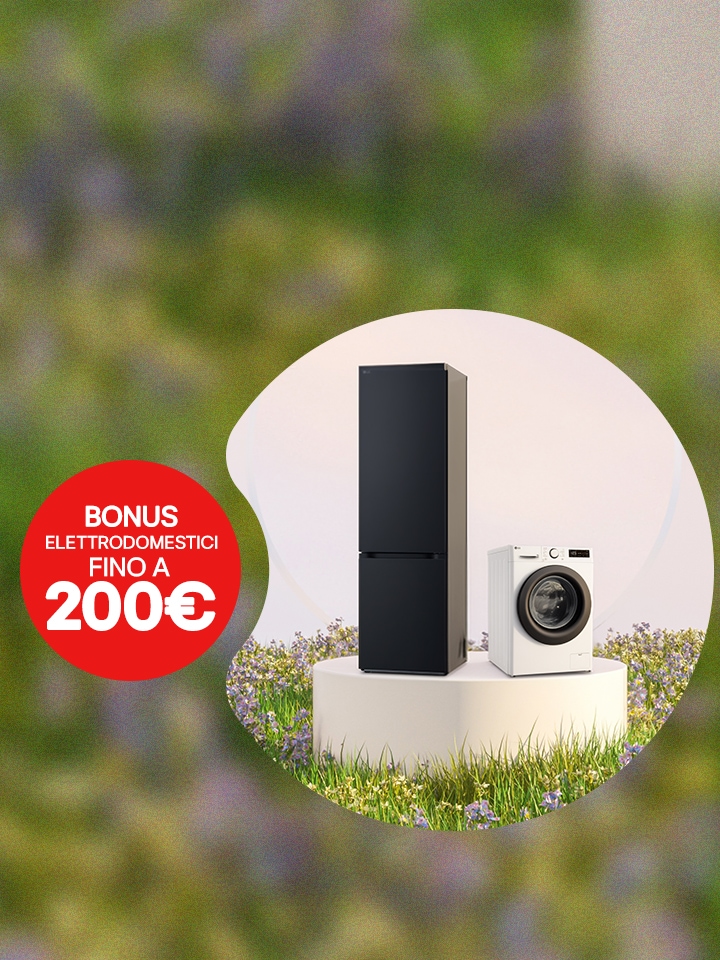 Bonus Elettrodomestici