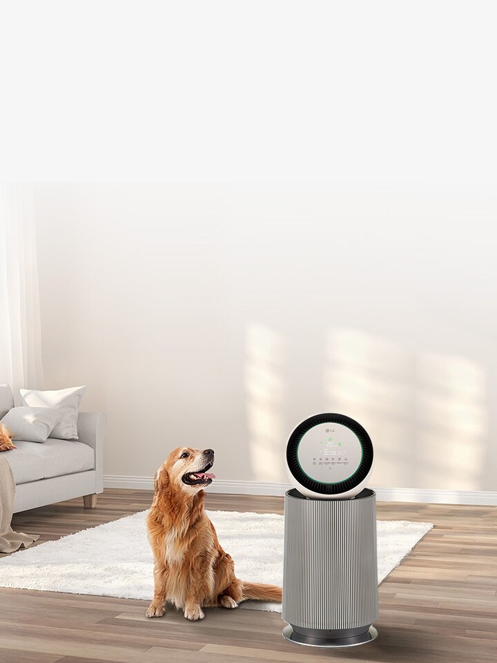サーキュレーターと空気清浄機がひとつに！サンドベージュカラーの2in1空気清浄機「LG PuriCare™ Pet Gen2」一般発売開始