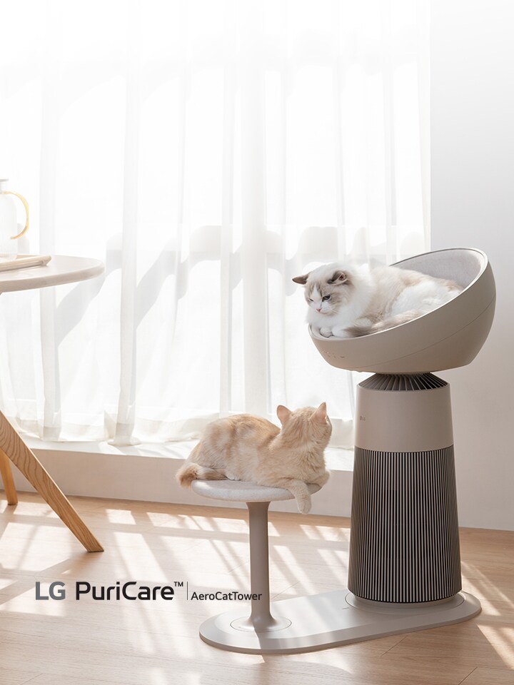 猫好きさん注目！60日間返品保証 キャンペーン