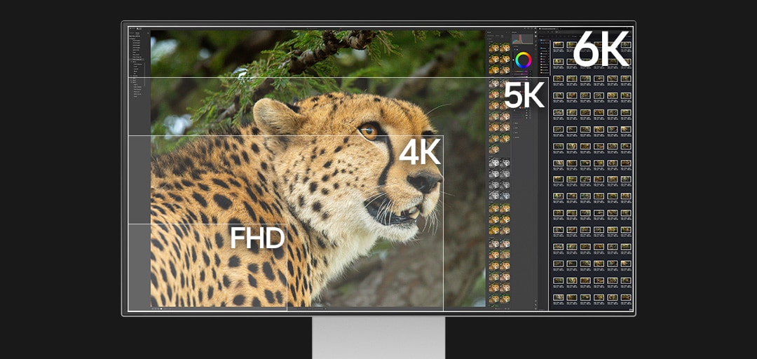【超高解像度 6K】