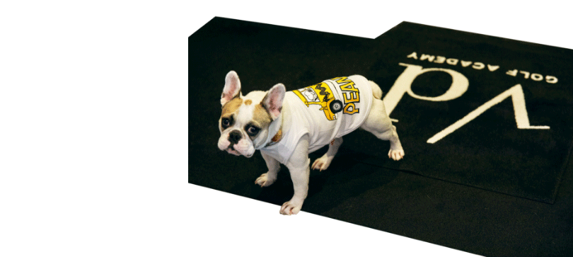 確固たる理論のもと行われるレッスンを経験した方は、その後の変化に驚きを隠せません。そして、今では行政、金融、エンタメなど、各業界の著名人の方々から、一般の方まで、あらゆる人が料金に納得し足を運びます。中には、あまりの結果へのコミットメントに「リーズナブル」と口にする人もいるほど。