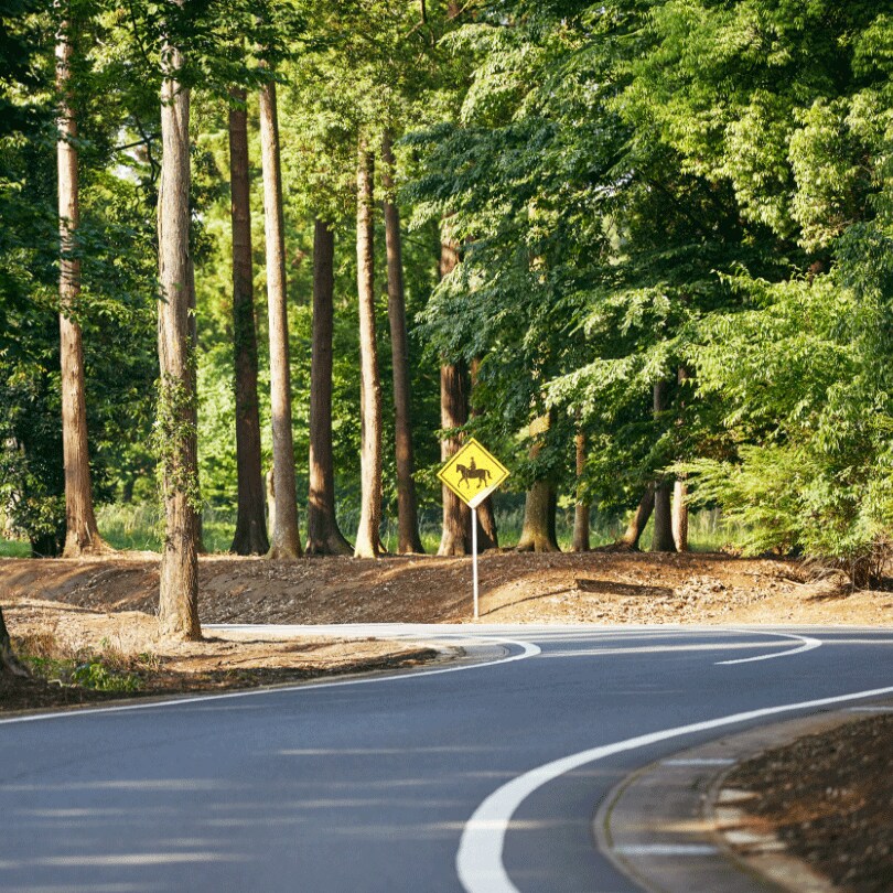 LGスタイラー 日本が世界に誇るゴルフカントリークラブ「TOKYO CLASSIC CLUB」。そこに併設される会員限定のグランピング施設が「TOKYO CLASSIC CAMP CLUB」です。同施設が提唱する豊かな唯一無二のグランピングスタイルとは。なぜLG Stylerを設置したのか。お話を伺いました。