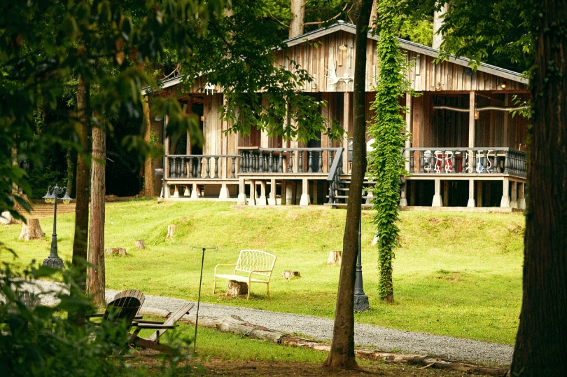 気持ちが穏やかになっていくのがわかります。