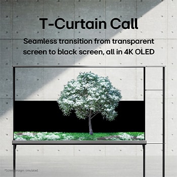 На LG SIGNATURE OLED T отображается зеленое дерево, на которое падал снег.