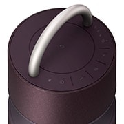LG Портативная беспроводная Bluetooth-колонка LG XBOOM 360 RP4, RP4