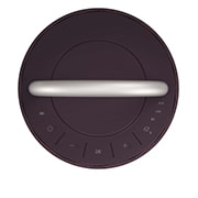 LG Портативная беспроводная Bluetooth-колонка LG XBOOM 360 RP4, RP4