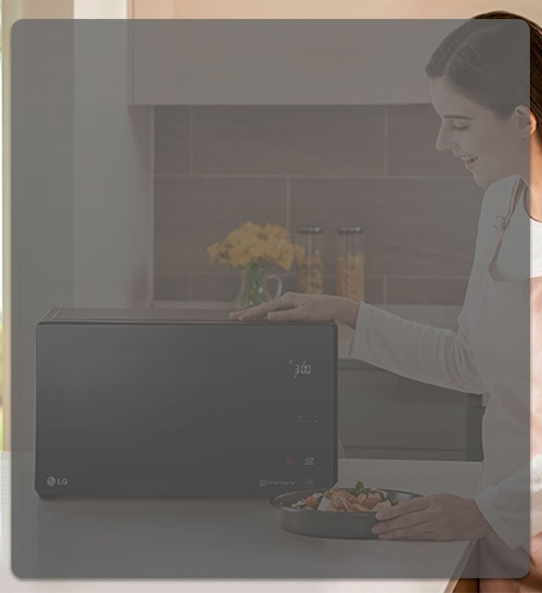 Путеводитель по микроволновым печам LG1