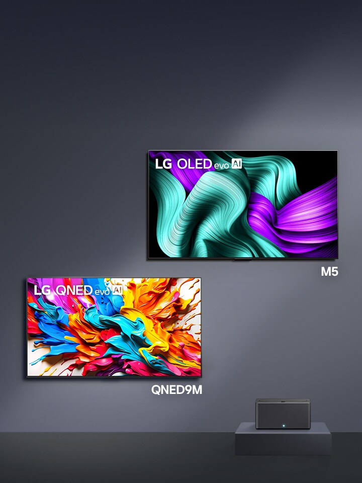 La LG OLED M5 y la LG QNED9M se montan en la pared. En cada una de sus pantallas hay una ilustración que muestra su impresionante rendimiento visual. La Caja de conexión cero está en un pedestal.