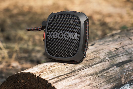 Imágenes que muestran cómo conectar LG XBOOM Go XG2T en Lifestyle.