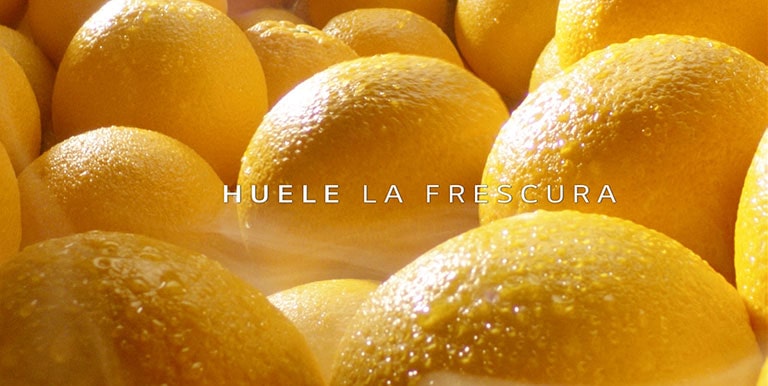 DESCUBRE LA FRESCURA