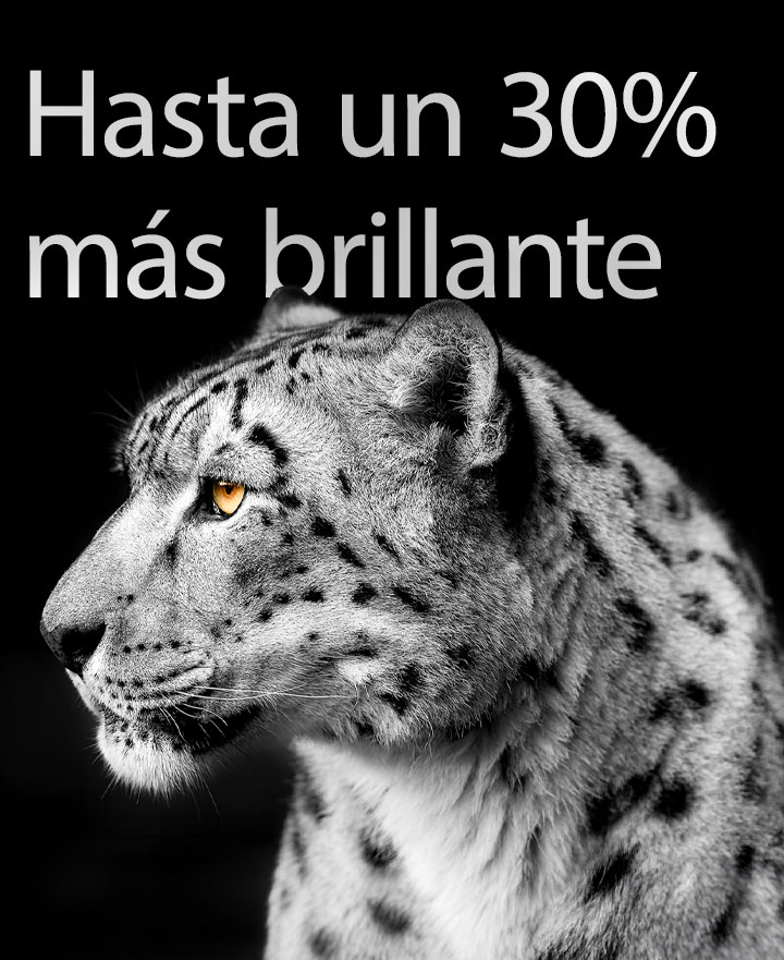 La cabeza de un leopardo blanco vista de lado. Las palabras a la izquierda "Hasta un 30% más brillante" muestran Brightness Booster.