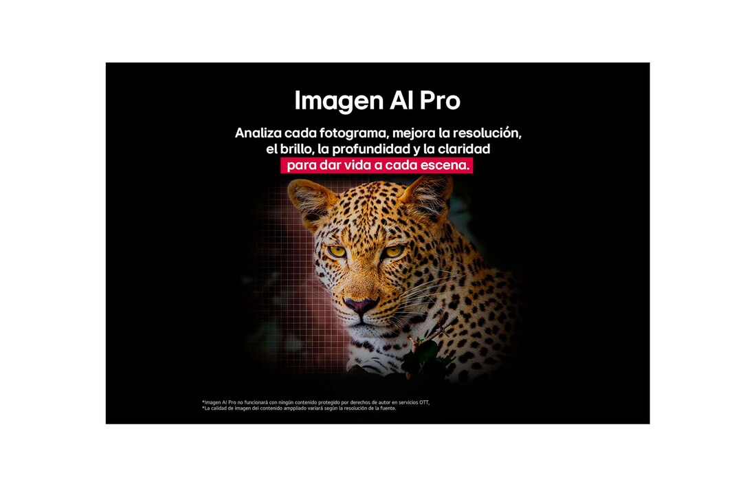 Leopard in the forest in vivid color and detail. The leopard has a grid and a light glowing behind it, indicating how LG AI Picture Pro made impressive visual enhancements to the scene's resolution, brightness, depth, and clarity.