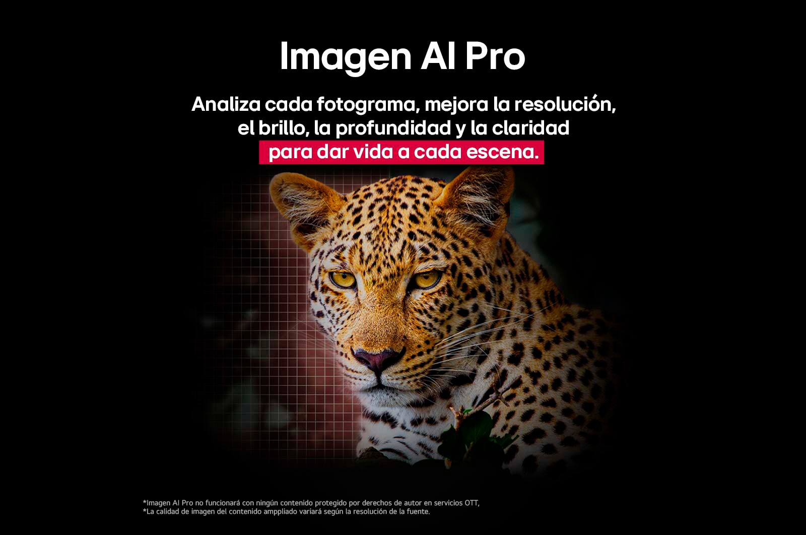 Un loro colorido en ultra alta definición sobre un fondo negro. A su alrededor hay gotas de agua suspendidas en el aire. La imagen muestra un Color Perfecto, ya que cada tono diferente del cuerpo del loro es vibrante y vívido. Se observan diferentes certificaciones de logotipos de UL e Intertek. Estos se refieren a su 100 % de fidelidad de color y 100 % de volumen de color. También se observa un texto: Verifica la marca de certificación de Color Perfecto.