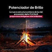 LG Pantalla 77 pulgadas LG AI OLED evo C5E 4K Smart TV 2025, OLED77C5ESA