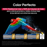 Sala de estar con una LG OLED TV montada en la pared. En la TV, se muestra una cadena montañosa bajo un cielo nocturno oscuro lleno de estrellas. Esta escena está dividida a la mitad para mostrar cómo Negro Perfecto ofrece verdaderos niveles de negro, ya sea que haya luz u oscuridad a tu alrededor. Una mitad de la imagen muestra una versión más opaca y gris del paisaje, con la etiqueta: Pantalla sin Negro Perfecto. La otra mitad muestra una imagen más atractiva con un mayor rango dinámico de negros y blancos. Esta mitad dice: Pantalla negro perfecto. También puede verse el logotipo de certificación: La tecnología Negro Perfecto ofrece niveles de negro inferiores o iguales a 0,24 nit y hasta 500 lux. A su lado, hay un globo de texto que dice: Verifica la marca de certificación Negro Perfecto.