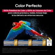 Colorful parrot in ultra-high definition against a black background. Water drops are suspended in the air all around it. The image showcases Perfect Color as each different hue on the parrot's body is vibrant and vivid. The dark background with the detailed water splashes also highlights how the screen is reflection-free. Different logo certifications from UL and Intertek are visible. These refer to its 100% Color Fidelity, 100% Color Volume, and reflection-free claim. Text is also visible, check the Perfect Color certification mark.