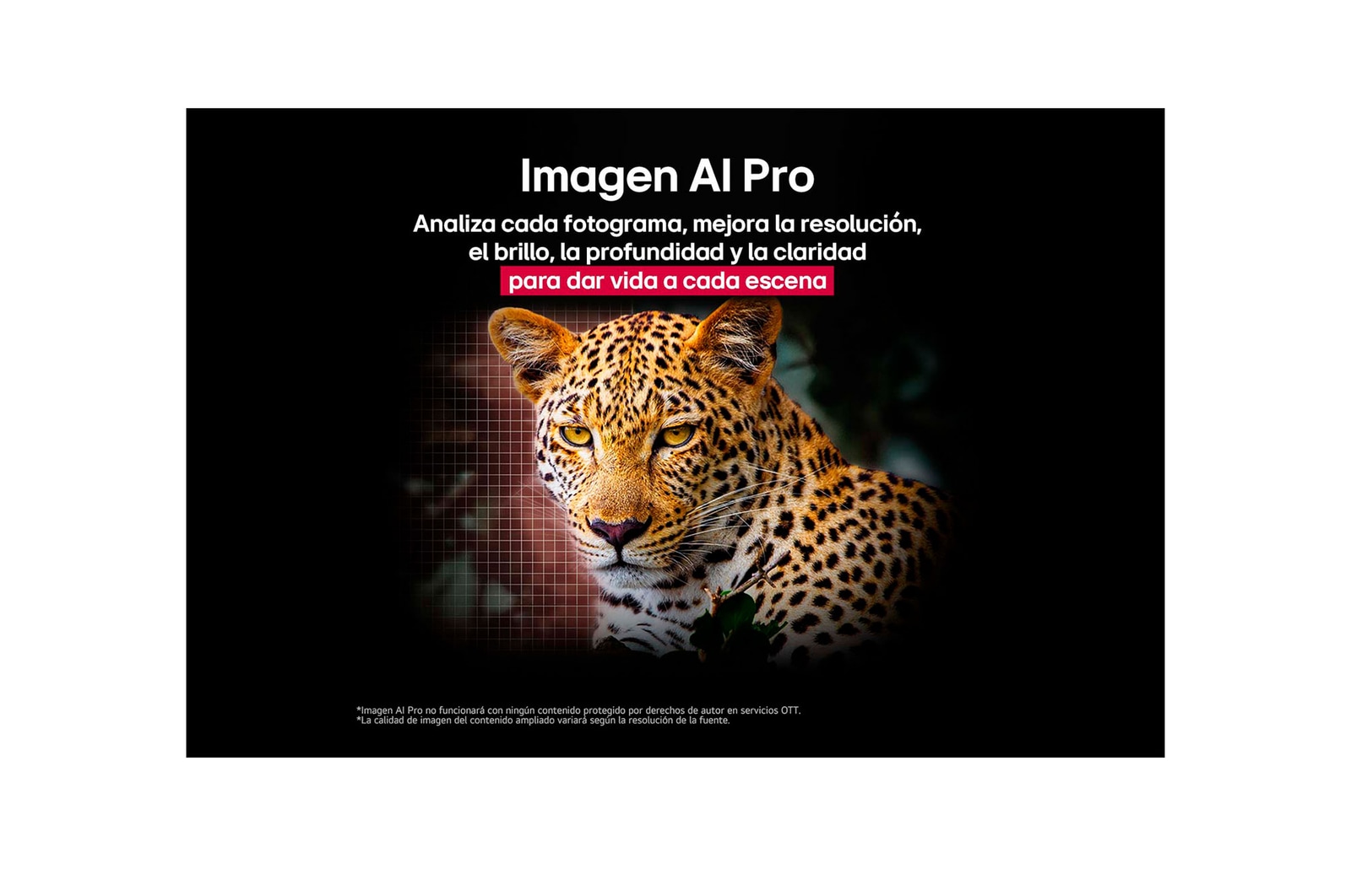 Leopard in the forest in vivid color and detail. The leopard has a grid and a light glowing behind it, indicating how LG AI Picture Pro made impressive visual enhancements to the scene's resolution, brightness, depth, and clarity.