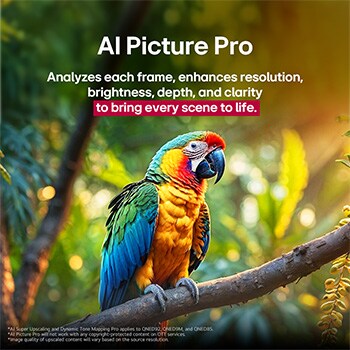 Loro en la rama de un árbol en colores vivos. El título habla de cómo LG Al Picture Pro ha conseguido impresionantes mejoras visuales en la resolución, el brillo, la profundidad y la claridad de la escena.