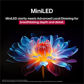 Flor holográfica en 3D con diferentes sombras y tonos sobre fondo negro. La definición y el detalle de la flor resaltan la capacidad del MiniLED de QNED de producir imágenes con color, brillo y contraste excepcionales. El título habla de cómo MiniLED mejora la claridad y proporciona un contraste excepcional.
